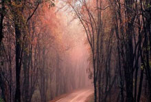 SGA26+8雷霆险胜快船6连胜 小卡25+10失关键球哈登17+8.